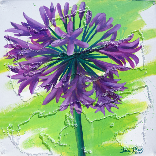 cornflowers pink
